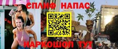 крисы Сланцы