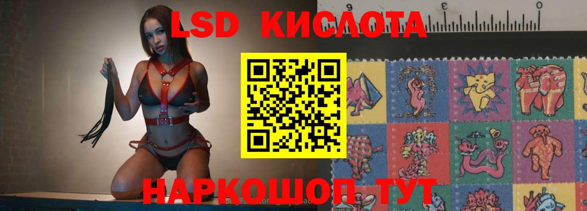 Новороссийск  Лсд 25 экстази ecstasy  ЛСД экстази ecstasy    зеркало  Вход с VPN 