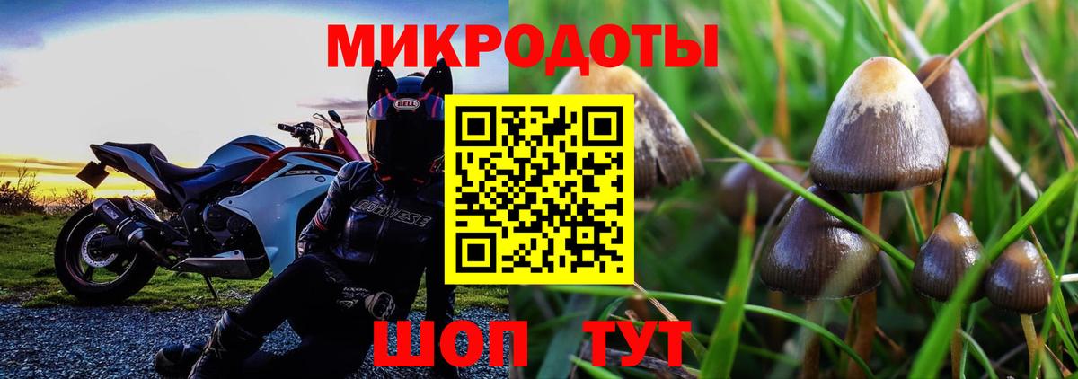 наркота  Галлюциногенные грибы Magic Shrooms  Вход с VPN  Новороссийск 